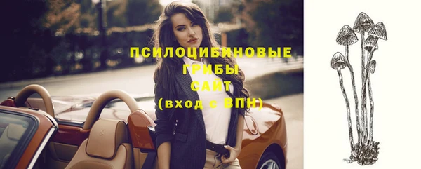 дурь Арсеньев