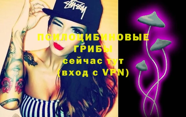 бошки Аркадак