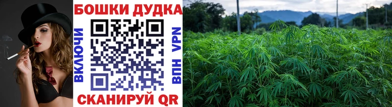 что такое наркотик  Арск  Бошки марихуана индика 